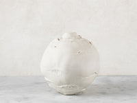 Porcelain Kohlrabi Bud Vase