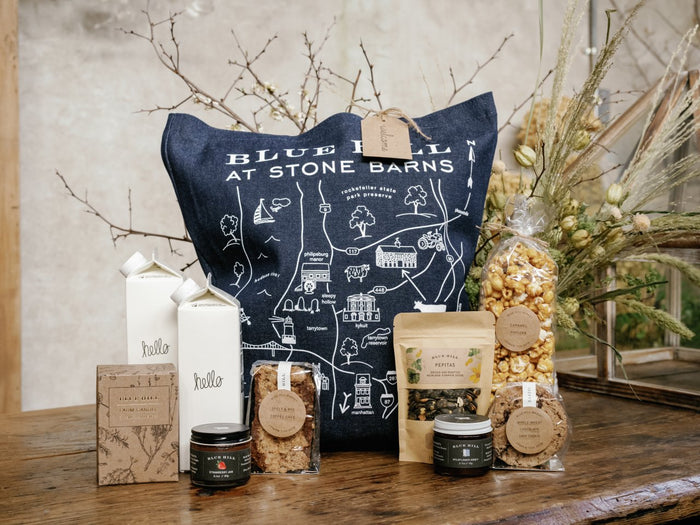 Denim Map Tote