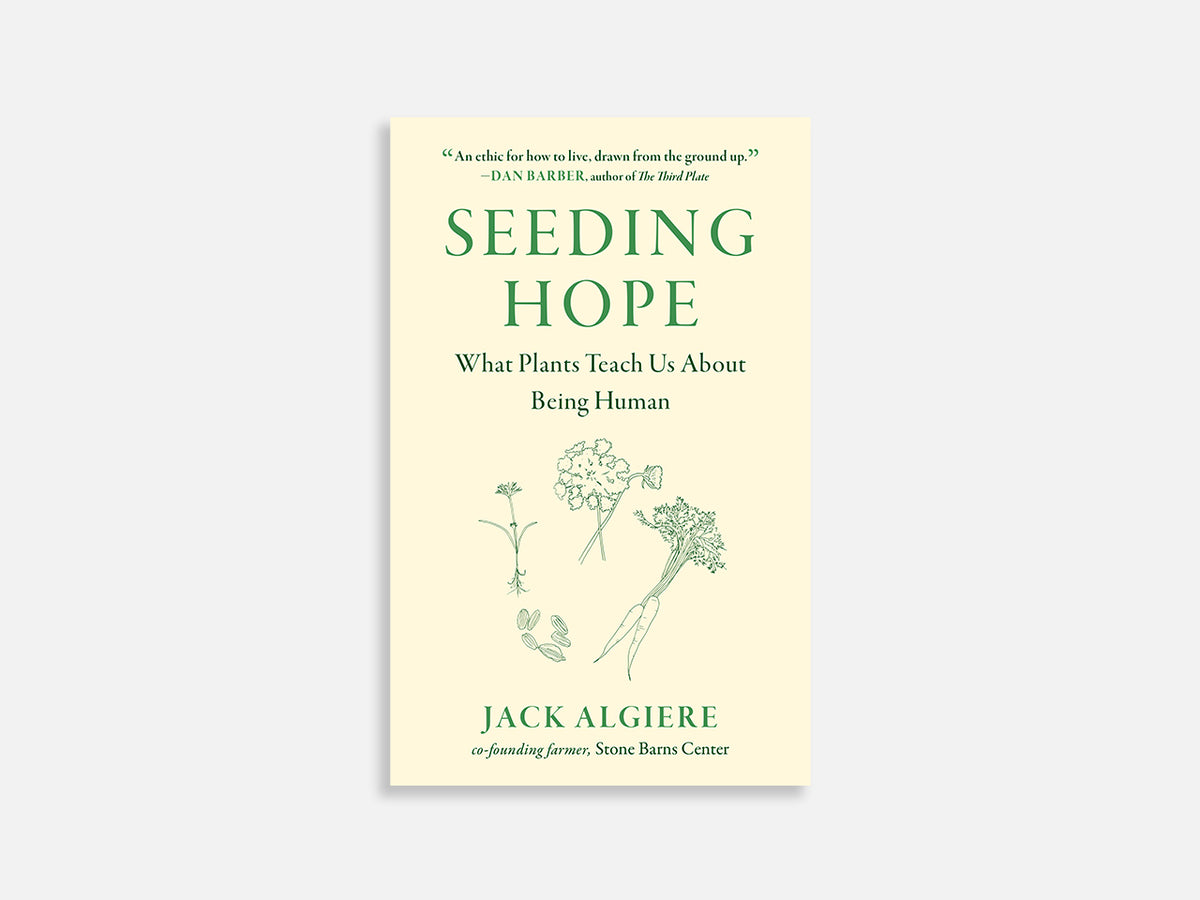 Seeding Hope: What Plants Teach Us About Being Human