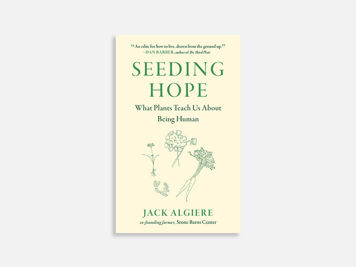 Seeding Hope: What Plants Teach Us About Being Human